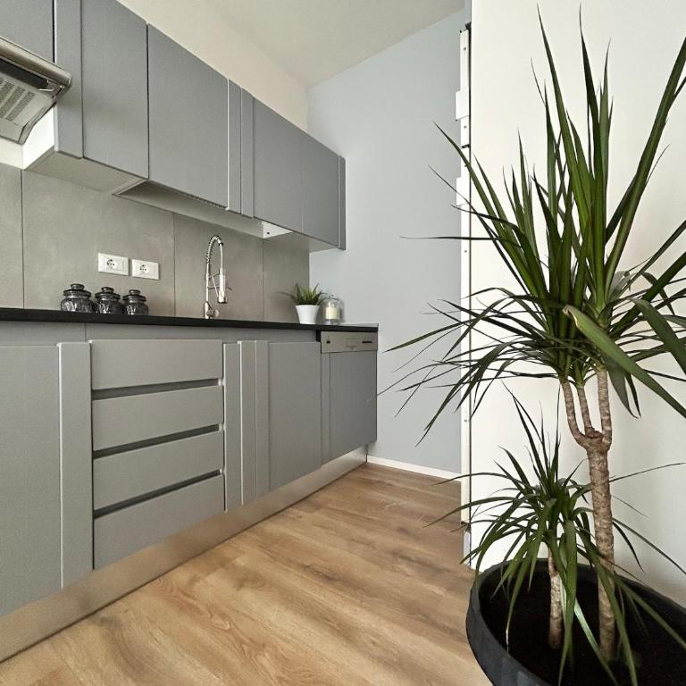 Relax in Padua, Near the Arena and the Canottieri Club - Appartamento con 1 Camera da Letto - 6