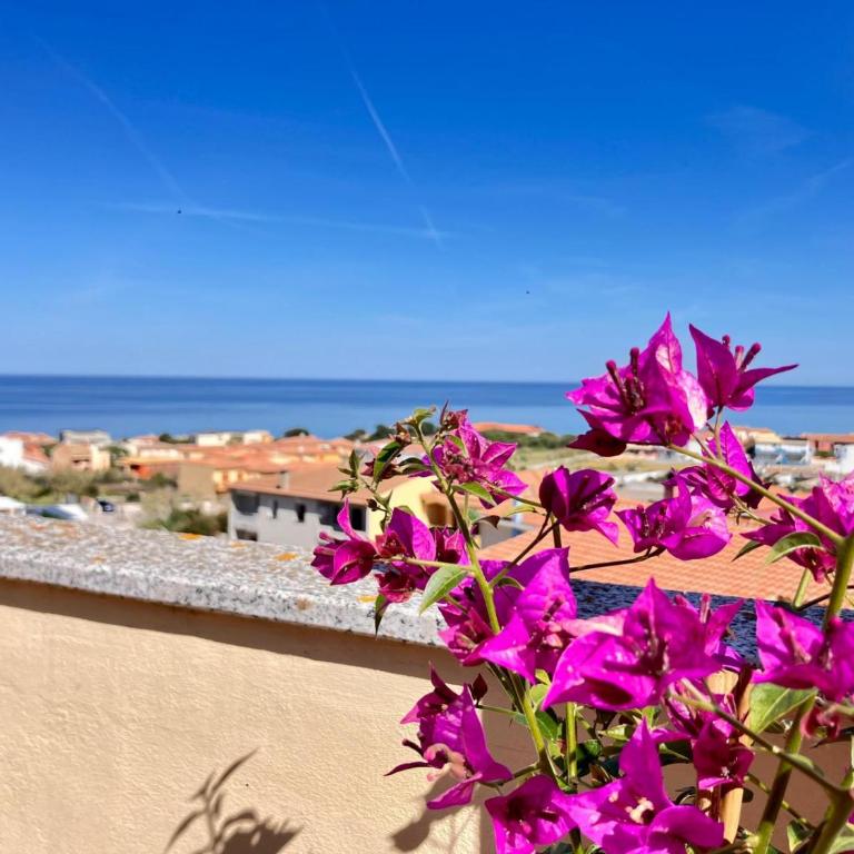 Attico con ampio terrazzo e vista mozzafiato vicino il mare - Appartamento - 40