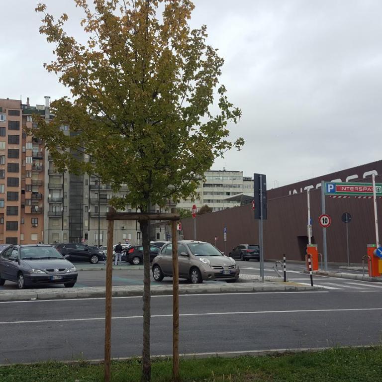 Il Duca - Two-Bedroom Apartment - 21