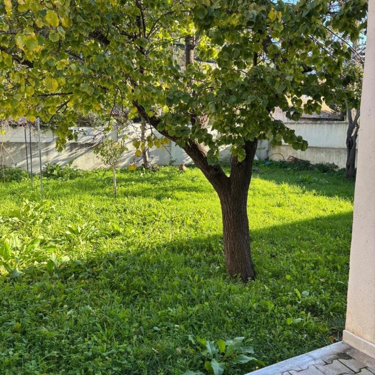 Air-conditioned house with garden, pool & foosball table - Villa - 13