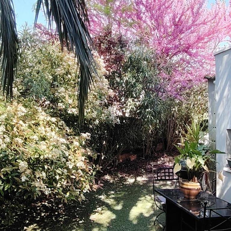 De plain-pied jardin - Appartamento - Piano Terra - 17