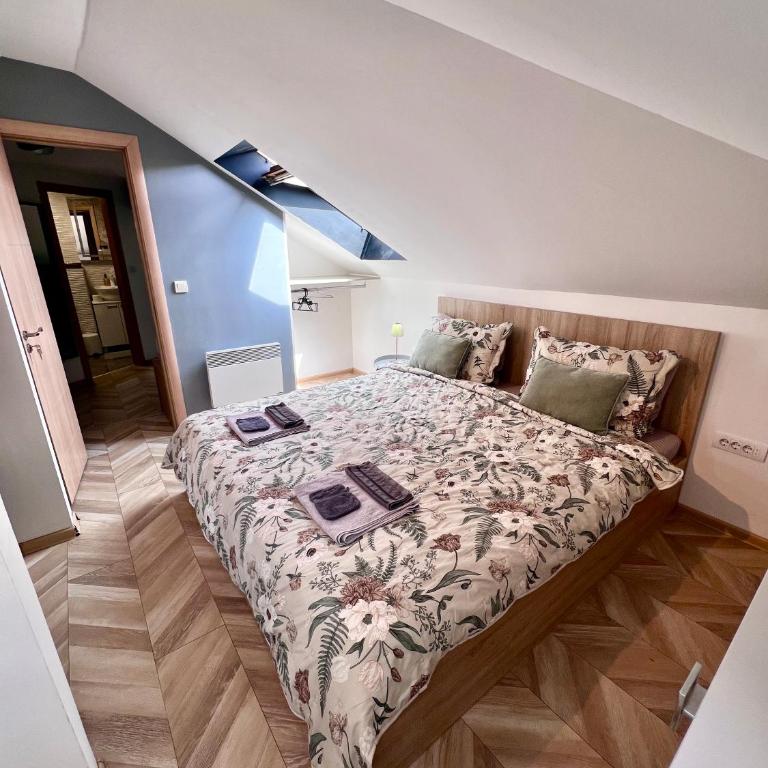 Booking Apartment Rajiceva - Apartman sa 1 Spavaćom Sobom - 2