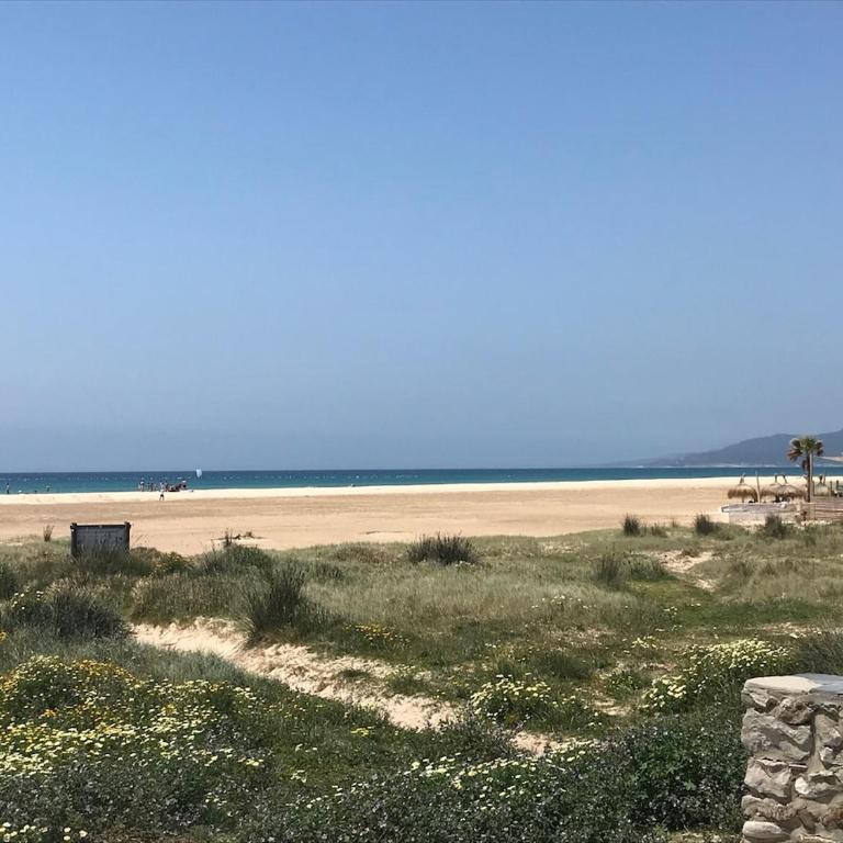 Tarifa Playa Los Lances 2 Dormitorios Piscina - Apartamento de 2 dormitorios con vistas al jardín - 22