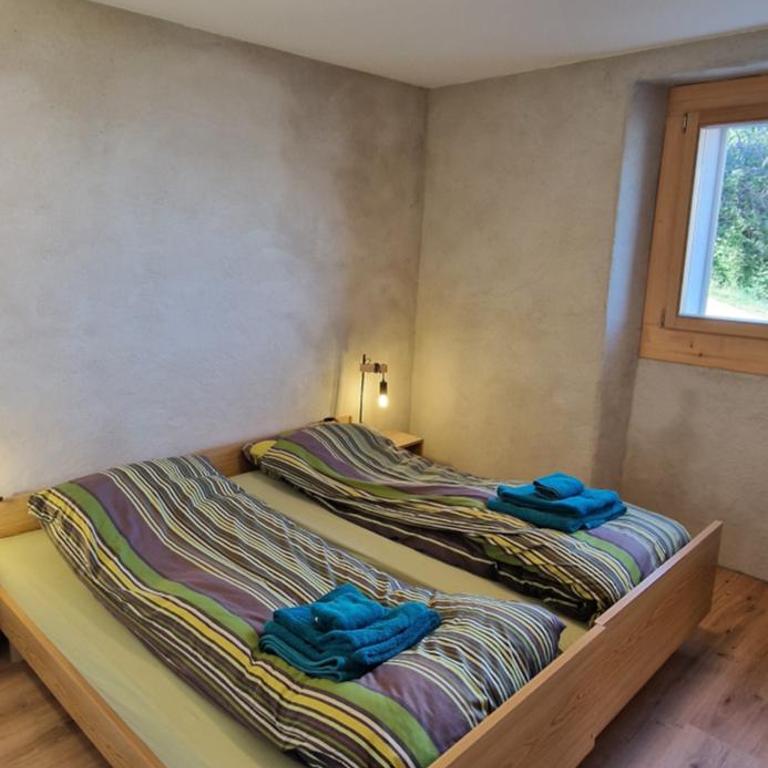 New flat in Randogne Crans-Montana with view - Appartement 2 Chambres - 15