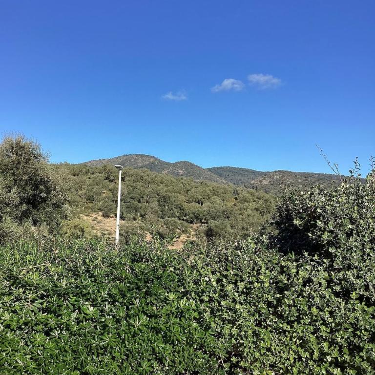 Villa Lou Caladou Sainte Maxime - Casa Vacanze con 4 Camere da Letto - 38