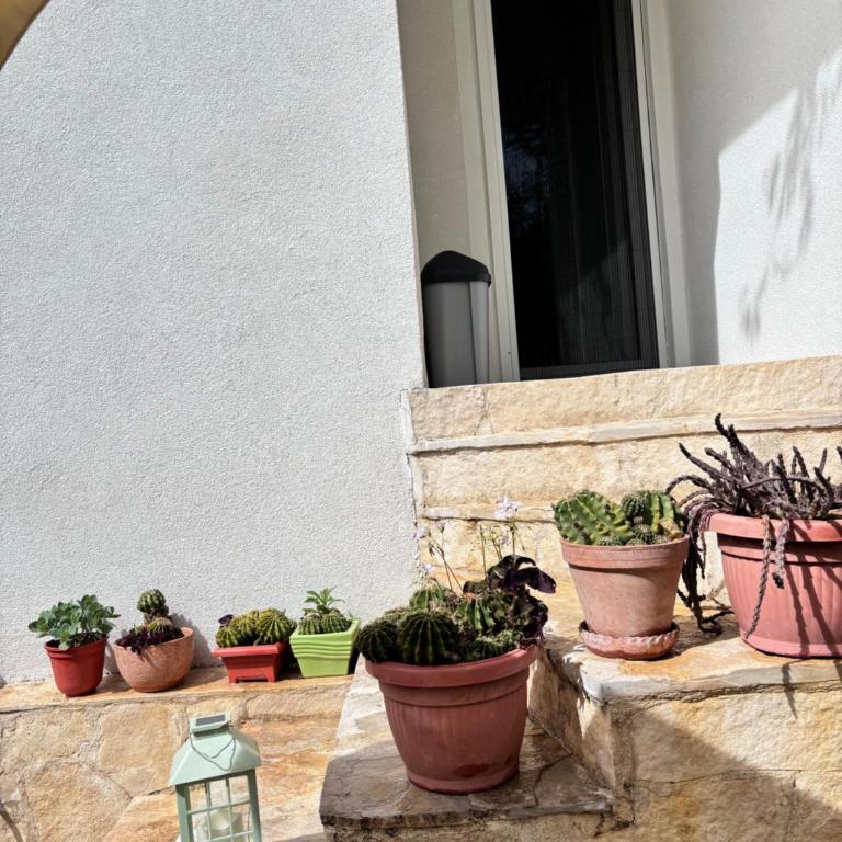 Historic Old Town Apartment Mona Best Location Mostar - One-Bedroom Apartment - 36