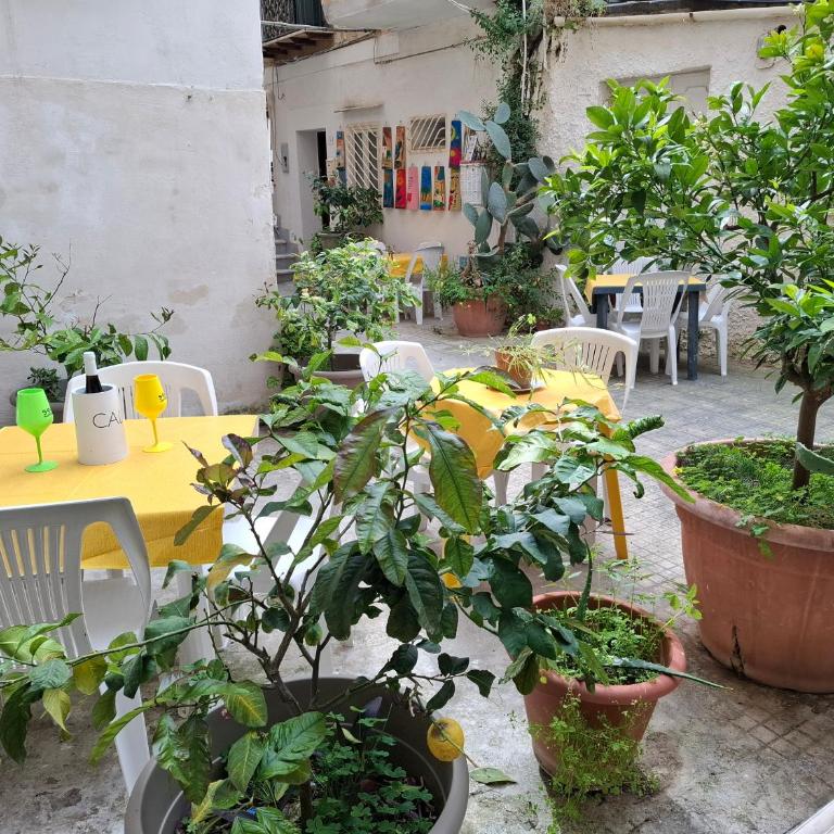 B&B Le Lumìe L' antico Cortile Camere Con Cucina Privata With Private Kitchen - Camera Familiare con Bagno Privato - 20