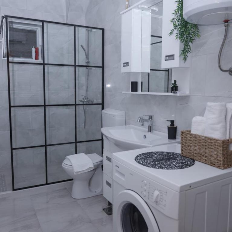 Apartman Tijana - Apartman sa 1 Spavaćom Sobom - 12