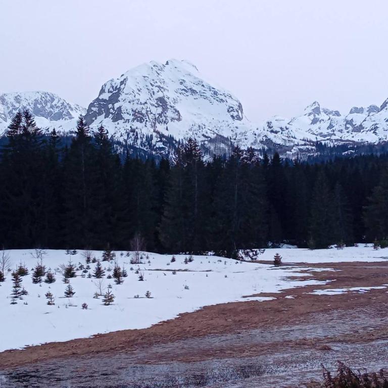 Durmitor Sunstone - Three-Bedroom Villa - 25