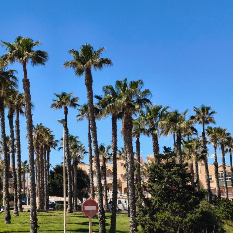 Miramar Sea View Studio - Apartamento de 1 dormitorio - 45