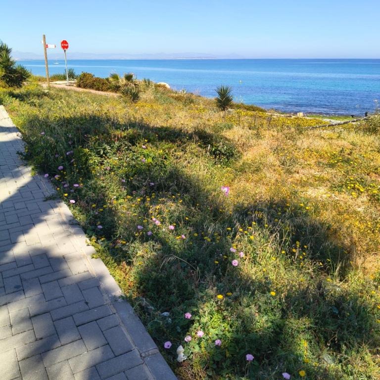 Miramar Sea View Studio - Apartamento de 1 dormitorio - 56