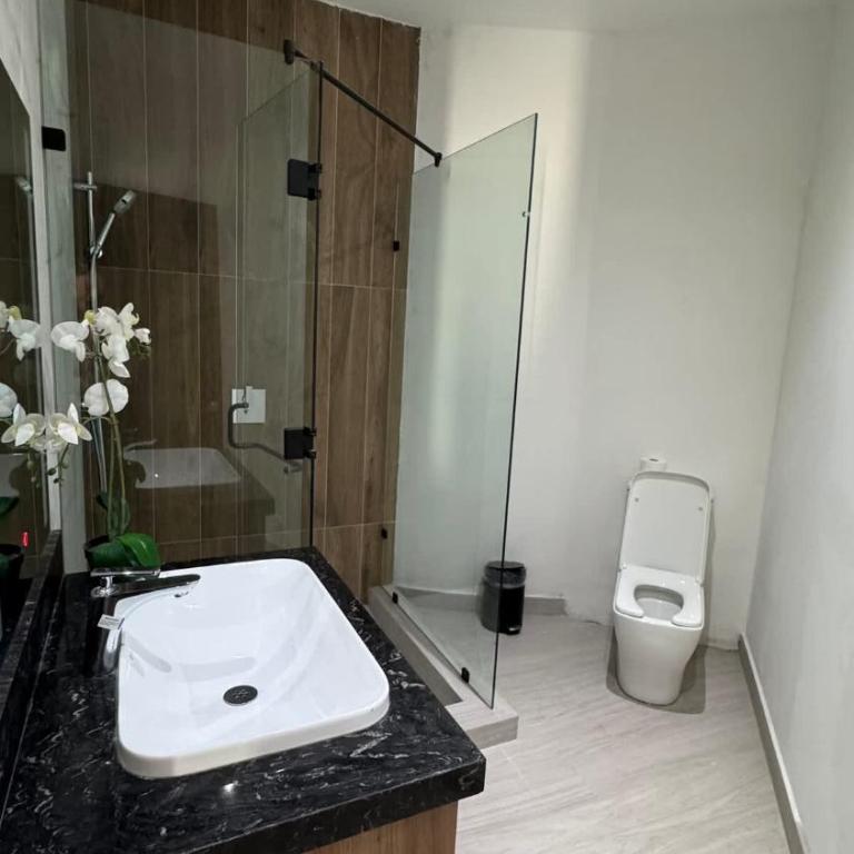 Grand Villa Famlee - multi-family rental sleeps 16 - Apartamento - 14