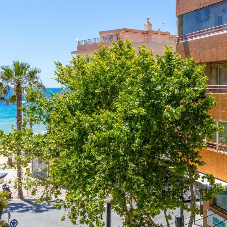 Arenal Mar Inftour - Apartamento de 3 dormitorios - 13