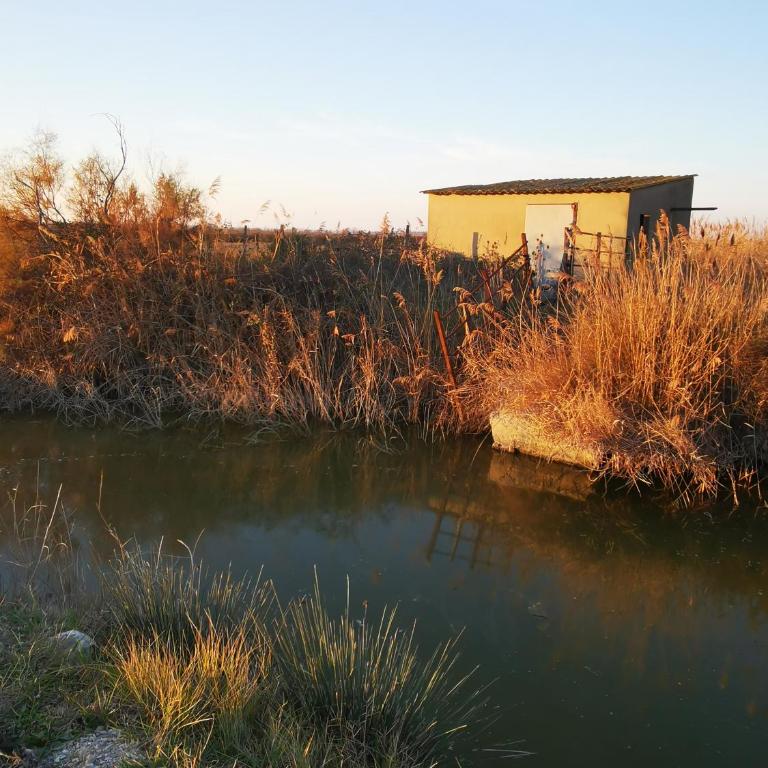 Le Refuge du Vieux Moulin - Villa mit Gartenblick - 21