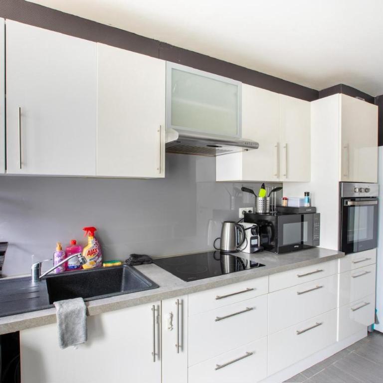 Appartement T3 avec Jacuzzi Privatif et Cour - Mulhouse - Apartment mit 2 Schlafzimmern - 7