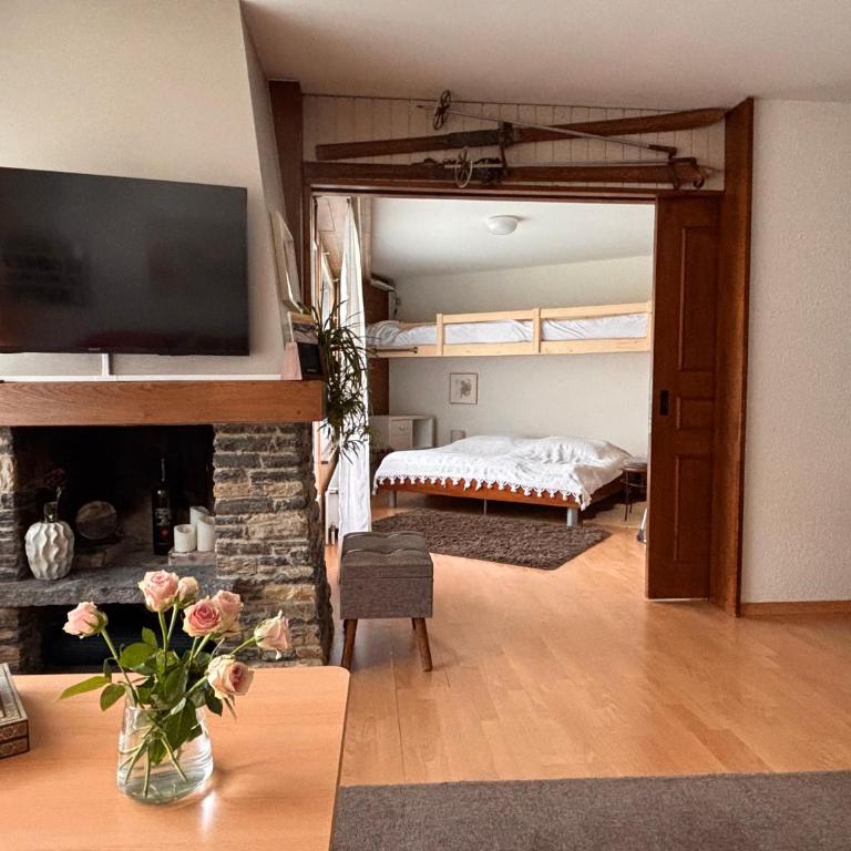 Charmant appartement hyper central, idéal pour couple ou petite famille, parking couvert - Appartement 1 Chambre - 9