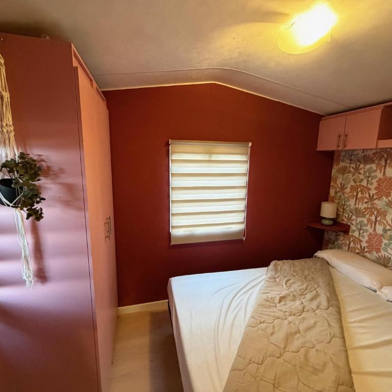 Glamping Lodge Estartit - Mobile Home - 10