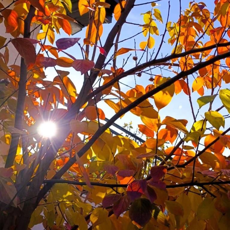 Gorgeous Hideout - Apartman sa Dve Spavaće Sobe i Sopstvenim Bazenom - 31