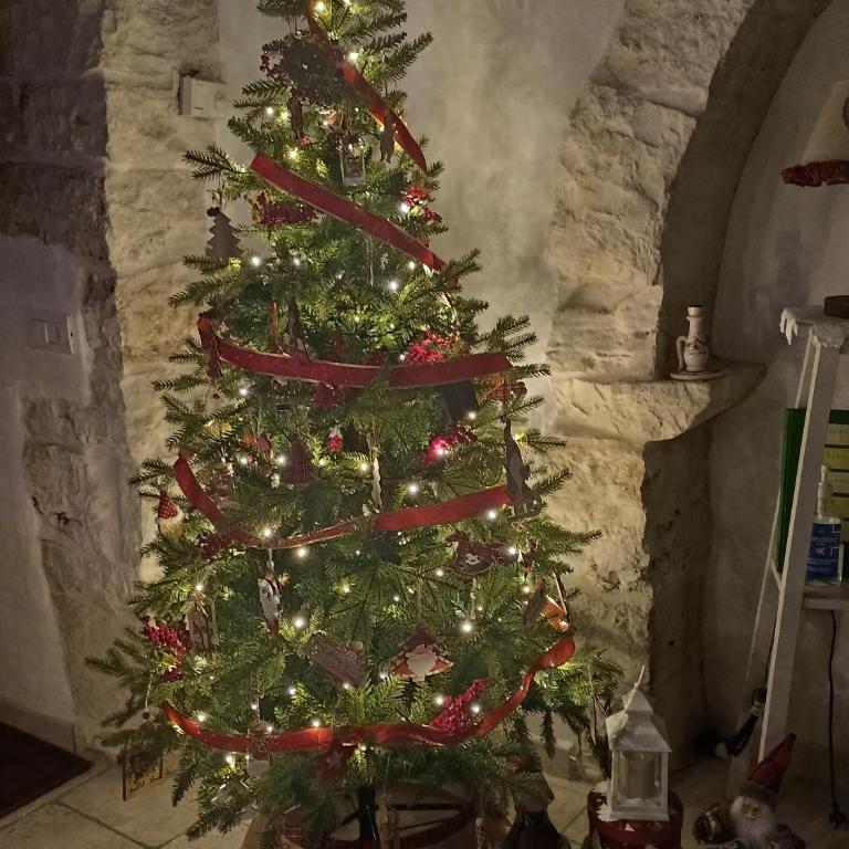 Il trullo di nonna Antonia - Casa con 2 Camere da Letto - 16