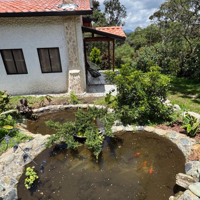 Raíz Oculta - Chalet con Jacuzzi y Chimenea en Santa Elena - Casa con 1 dormitorio - 4