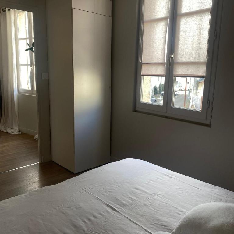 Les marronniers appartement centre Saumur bord de Loire - Appartement 1 Chambre - 11