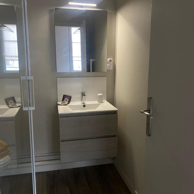 Les marronniers appartement centre Saumur bord de Loire - Appartement 1 Chambre - 5