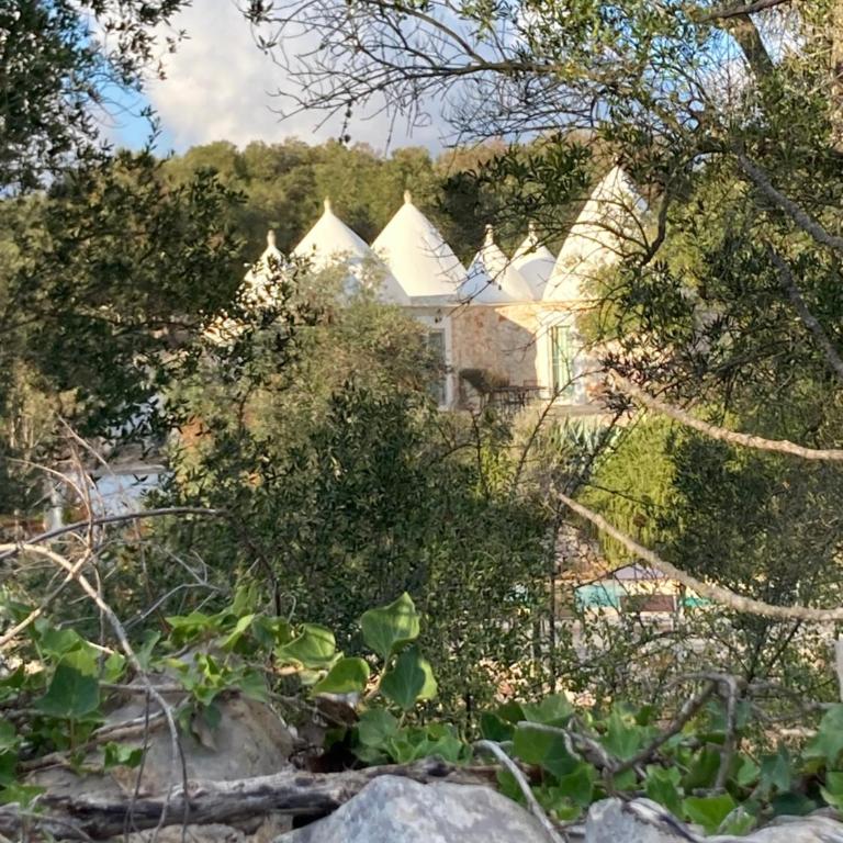 Trullo Lui by Borgo Paoli , Authentic Retreat with Pool & Olive Grove in Ostuni - Casa Vacanze - 43