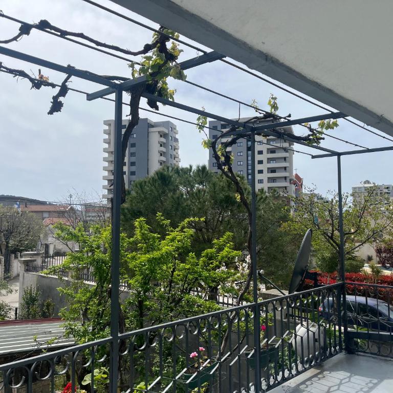 White Rose 2 - One-Bedroom Apartment - 16