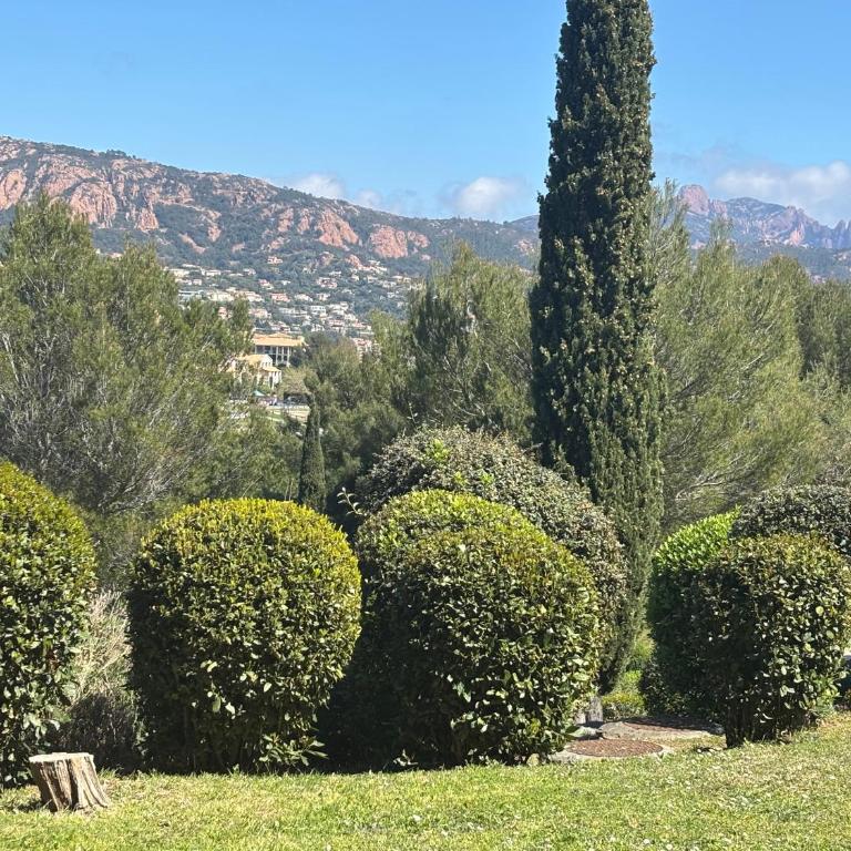 Joli appartement au cap Esterel à saint-Raphael - Apartment mit 1 Schlafzimmer - 16