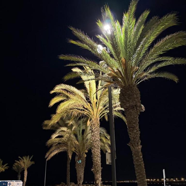MILA Słoneczny Apartament w Torrevieja Centrum - Apartamento de 2 dormitorios - 31