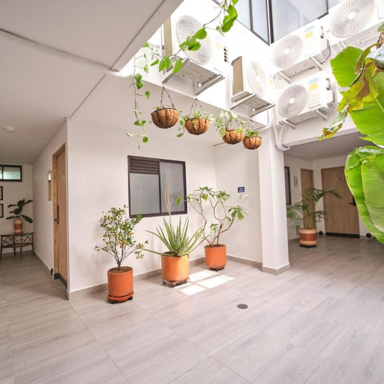 Living blue apartamentos - Apartamento - 11