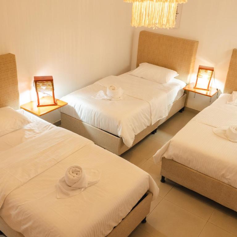 Raizen Hostel - Triple Room - 1