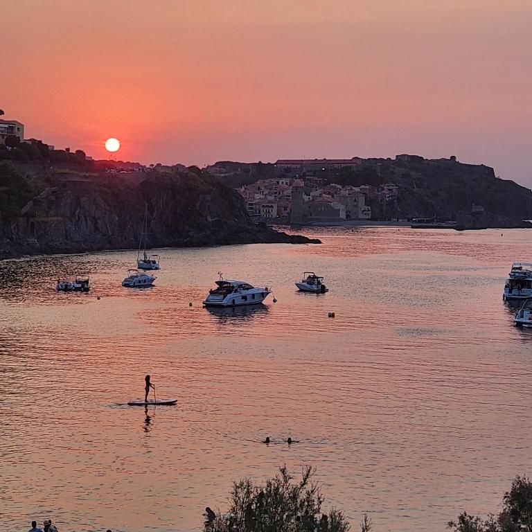 La crique appartement vue clocher Collioure - Apartamento de 1 dormitorio - 37