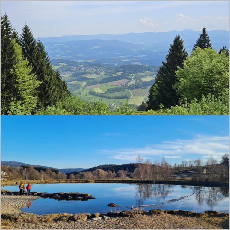 Fewo Turmfalke 2-Zimmer-Appartement mit Sauna und Schwimmbad - Apartment mit 1 Schlafzimmer - 79