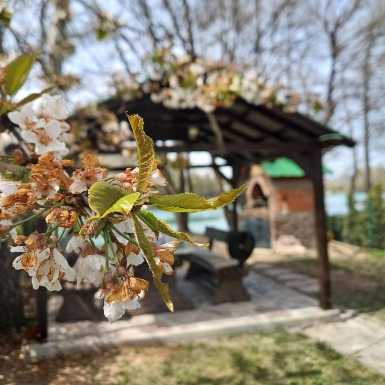 Unska Bajka Bihać - Kuća sa 1 Spavaćom Sobom - 2