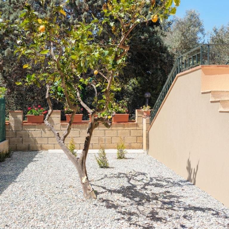 Casa Vacanze Al Mandorlo - Casa con 1 Camera da Letto - 38