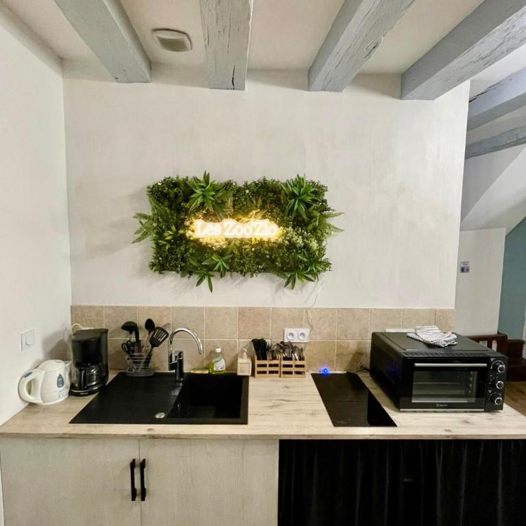 Gite Le Nid des Zoo Zio, 5mn Beauval, appartement terrasse centre-ville - Apartment mit 2 Schlafzimmern - 2