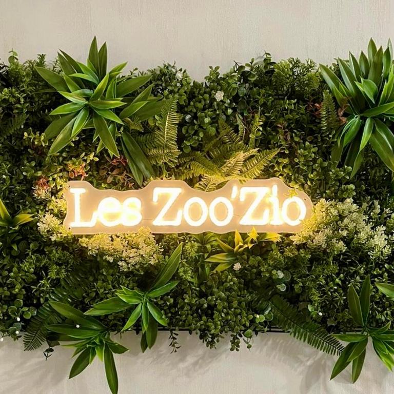 Gite Le Nid des Zoo Zio, 5mn Beauval, appartement terrasse centre-ville - Apartment mit 2 Schlafzimmern - 9