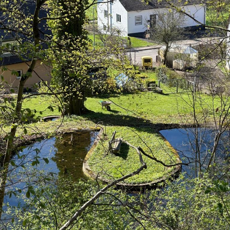 MemmingenBuxheimKartause - Apartment mit 1 Schlafzimmer - 21