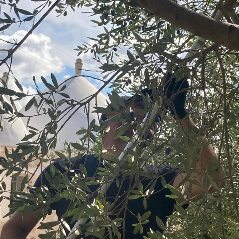 Trullo Lei by Borgo Paoli, Romantic Experience with Pool & Olive Trees in Ostuni - Two-Bedroom Villa - 39