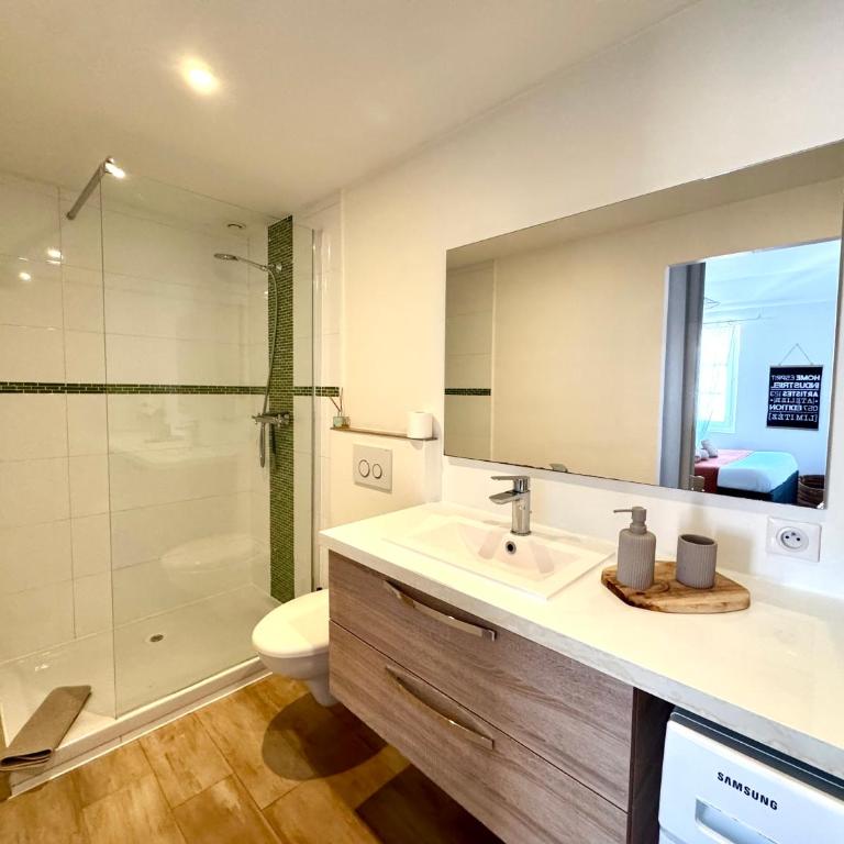 Appartements climatisés - Vieil Antibes - Appartement Standard - 6