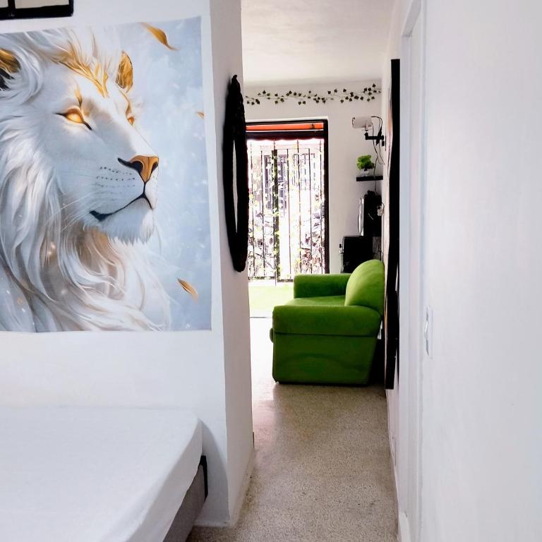 Mini casa confort - Apartamento de 2 dormitorios - 5