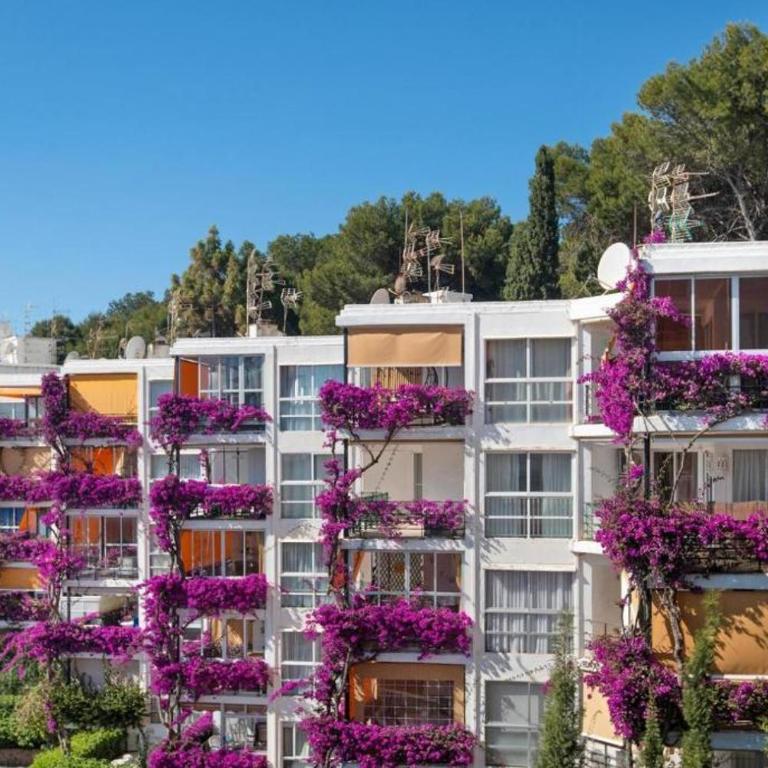 Refugio Carihuela - Apartamento de 1 dormitorio - 1