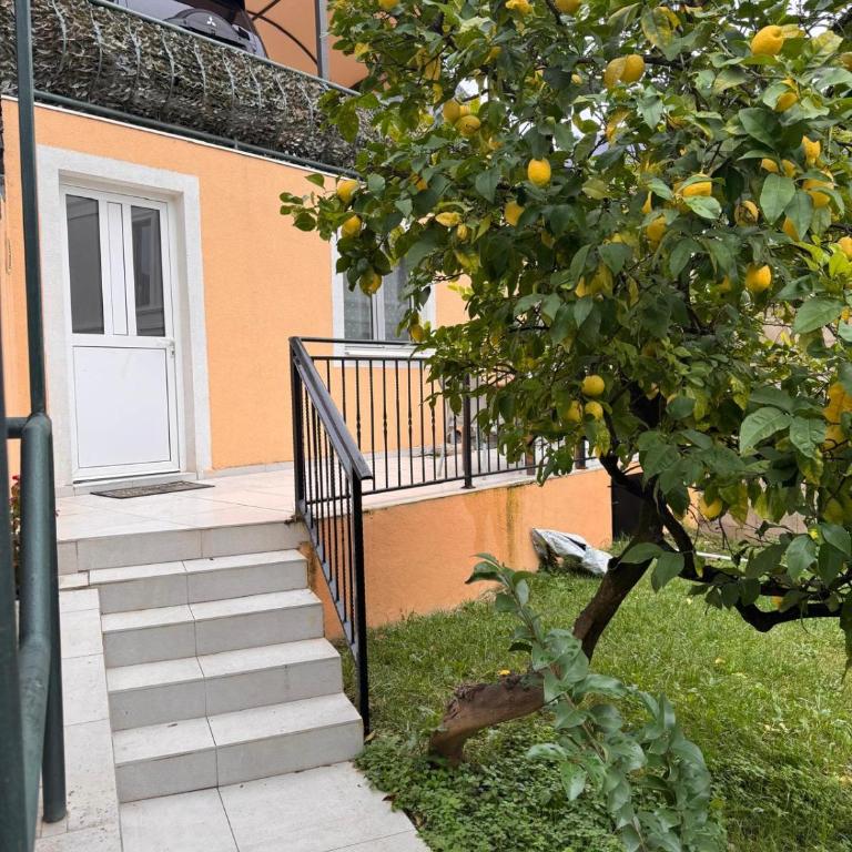 Miramare Seaside Aparts - Studio - 12