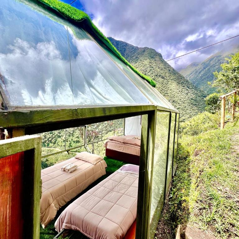 Hanging Nest Salkantay - Quadruple Room with Private Bathroom - 47