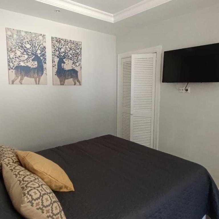 Refugio Carihuela - Apartamento de 1 dormitorio - 35
