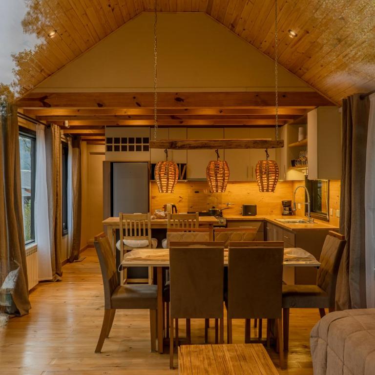 Cabaña del Arbol By Ailen de los andes - Chalet de 1 dormitorio - 23