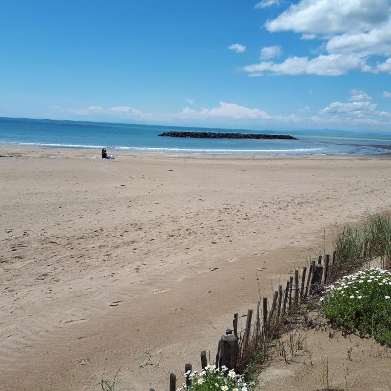 Aurora, magnifique, classé 3 étoiles, 6 personnes, accès direct plage, parking privé, vue mer à travers la pinède - Appartement 2 Chambres - 8