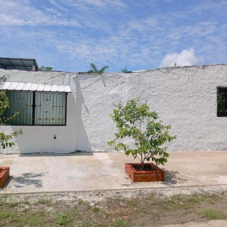 Sabana Africana - Casa con 1 dormitorio - 5