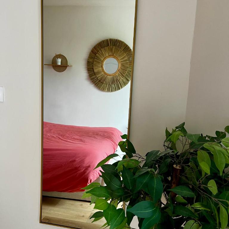 Le Celtic - Apartamento de 1 dormitorio - 24